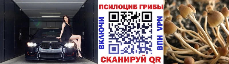 закладка  Вязьма  hydra ONION  Псилоцибиновые грибы прущие грибы 